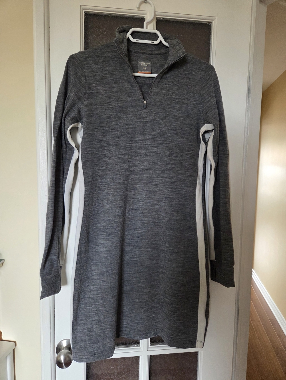 Icebreaker Dress